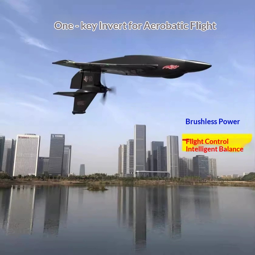 Rc Glider Foam Wing - Pesawat RC 6CH H650 Raptor Motor
