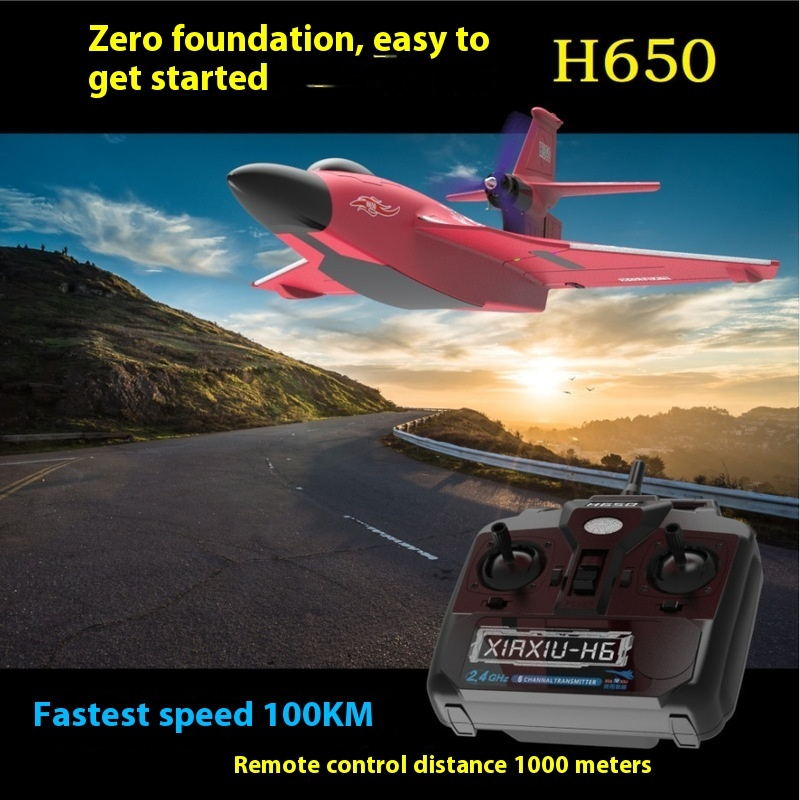 Pesawat RC H650 Ukuran Besar T - Rc Glider Foam Wing ulasan dan harga