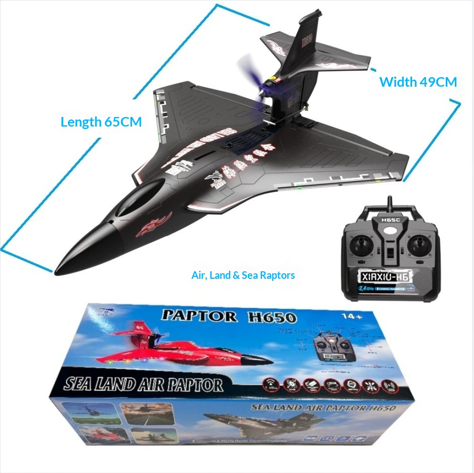 Pesawat RC 6CH H650 Raptor Mot - Rc Glider Foam Wing ulasan dan harga