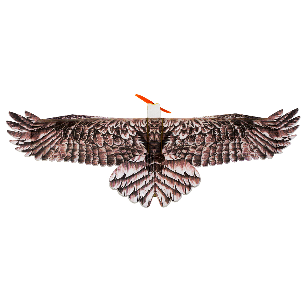 Pesawat RC DW Hobby Eagle II E - Rc Glider Foam Wing ulasan dan harga